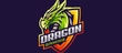 Dragon Gaming photo