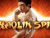 Shaolin Spin