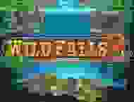 Wild Falls 2