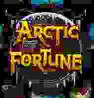 Arctic Fortune