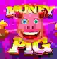 Money Pig