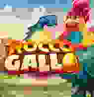 Rocco Gallo