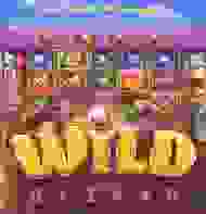 Wild Bazar