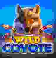 Wild Coyote