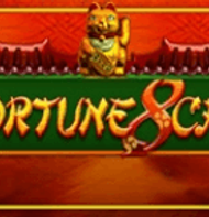 Fortune 8 Cat