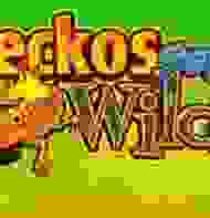Gekos gone Wild