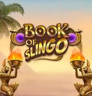 Book of Slingo