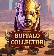 Buffalo Collector