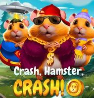 Crash Hamster Crash!