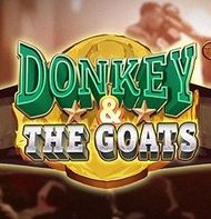 Donkey & the GOATS