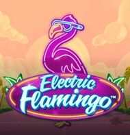 Electric Flamingo