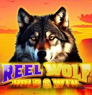Reel Wolf 