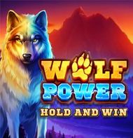 Wolf Power Hold And Win