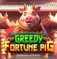 Greedy Fortune Pig