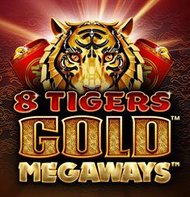 8 Tigers Gold