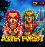 Aztec Forest