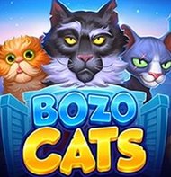 Bozo Cats