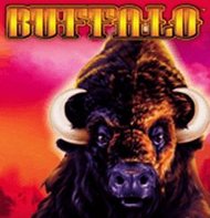 Buffalo