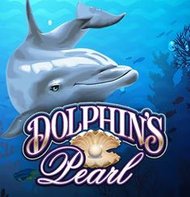 Dolphins Pearl