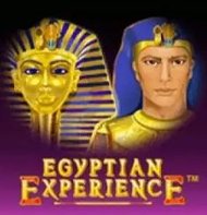 Egyptian Experience