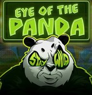 Eye of the Panda