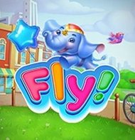 Fly