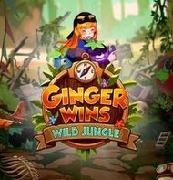Ginger Wins
