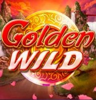 Golden Wild