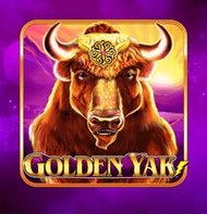 Golden Yak