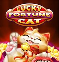 Lucky Fortune Cat