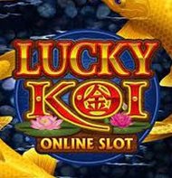 Lucky Koi