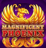 Magnificent Phoenix