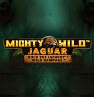 Mighty Wild Jaguar
