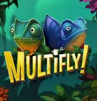 Multifly