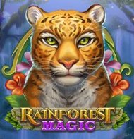 Rainforest Magic