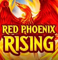 Red Phoenix Rising
