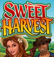 Sweet Harvest