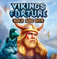 Vikings Fortune