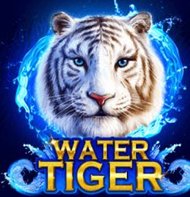 Water Tiger