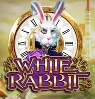 White Rabbit