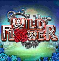 Wild Flower