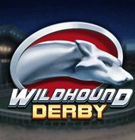 Wildhound Derby