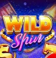Wild Spins