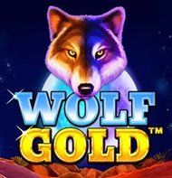 Wolf Gold