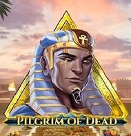 Pilgrim of Dead