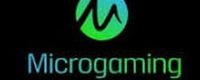 Microgaming