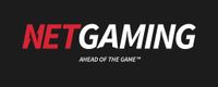 giochigatsby-misc_images-netgaming-logo.jpeg