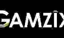 Gamzix logo