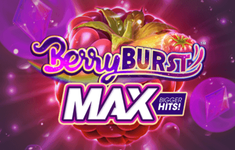 Berryburst logo