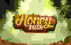 Honey Rush logo